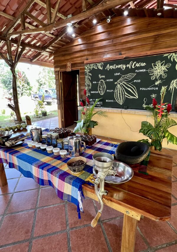 chocolate making class in costa rica